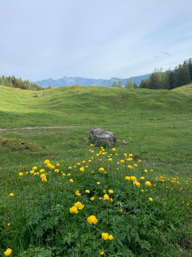 - Valleyviewinn